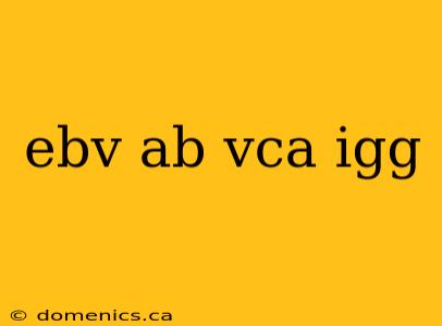 ebv ab vca igg