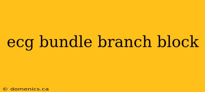 ecg bundle branch block