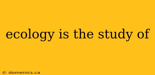 ecology is the study of