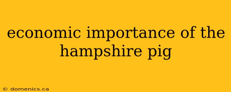 economic importance of the hampshire pig