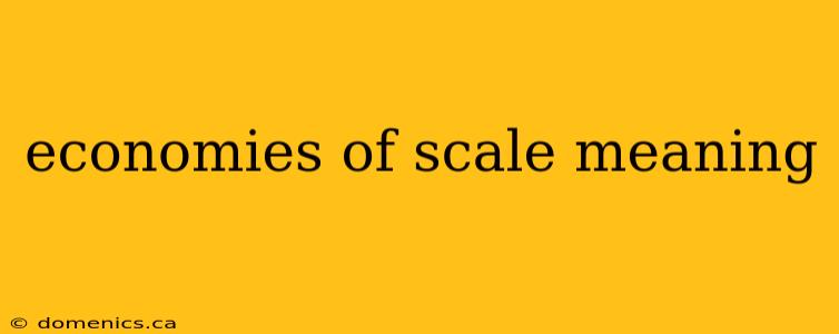 economies of scale meaning