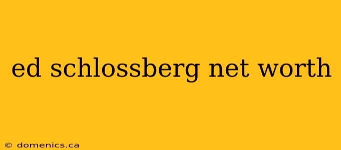 ed schlossberg net worth