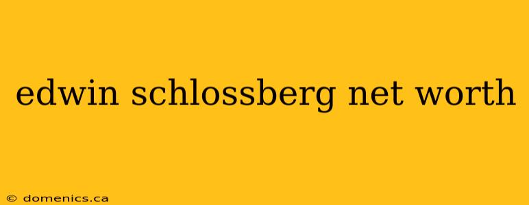 edwin schlossberg net worth