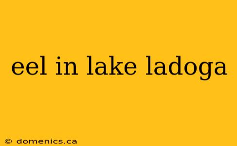 eel in lake ladoga