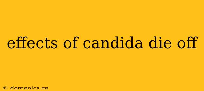 effects of candida die off