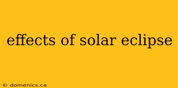 effects of solar eclipse