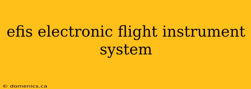 efis electronic flight instrument system