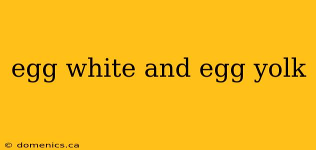 egg white and egg yolk