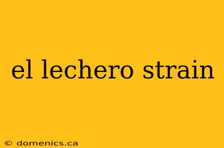 el lechero strain