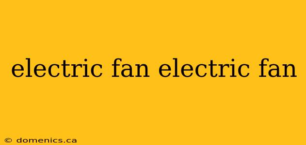 electric fan electric fan