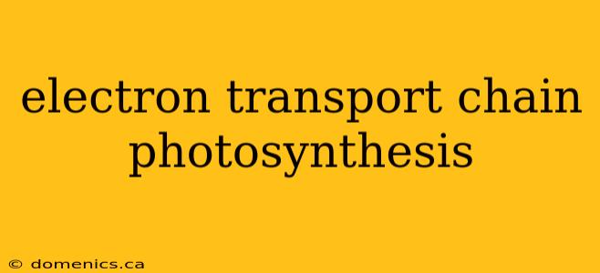 electron transport chain photosynthesis