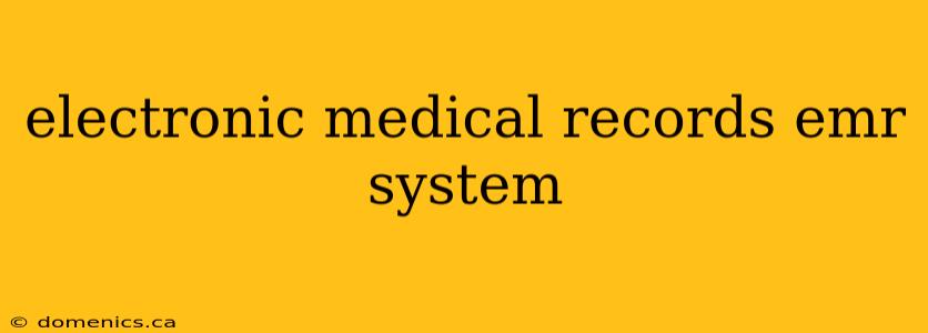 electronic medical records emr system