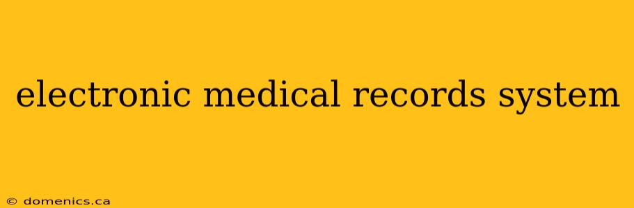 electronic medical records system