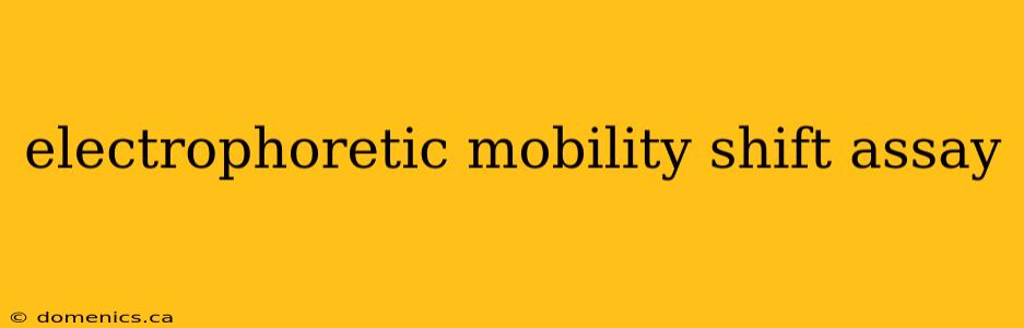 electrophoretic mobility shift assay