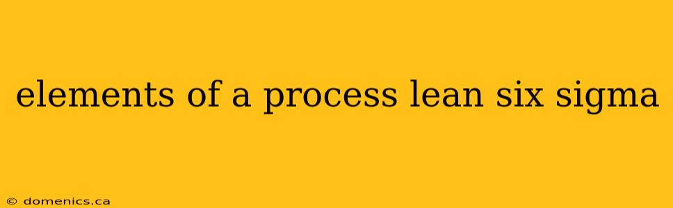 elements of a process lean six sigma