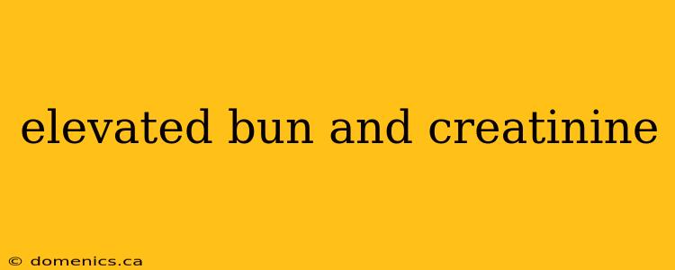 elevated bun and creatinine