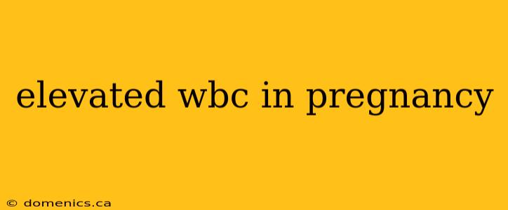 elevated wbc in pregnancy