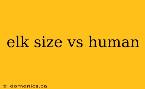 elk size vs human