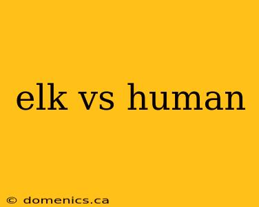 elk vs human