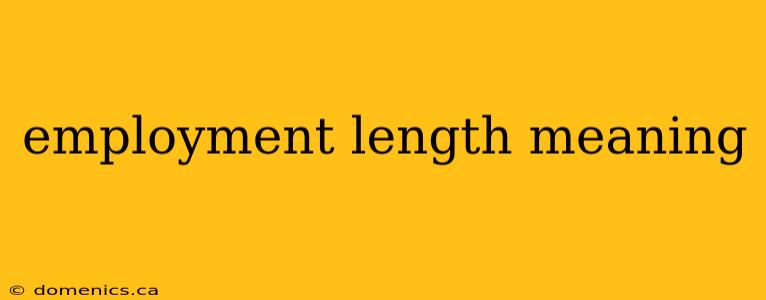 employment length meaning