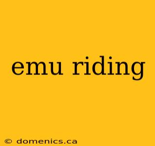 emu riding