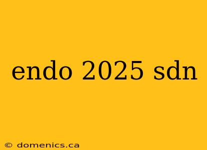 endo 2025 sdn