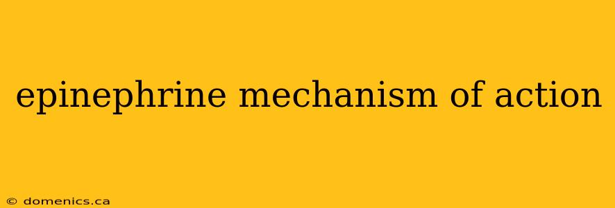 epinephrine mechanism of action