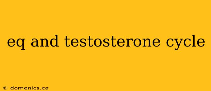 eq and testosterone cycle