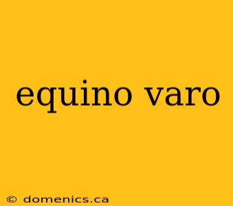 equino varo