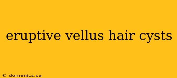 eruptive vellus hair cysts