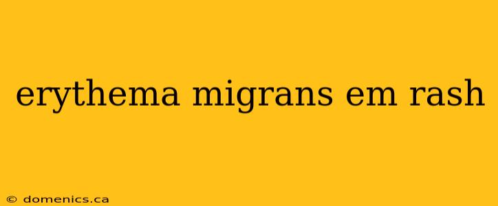 erythema migrans em rash