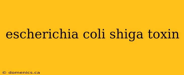 escherichia coli shiga toxin