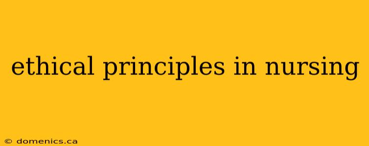 ethical principles in nursing