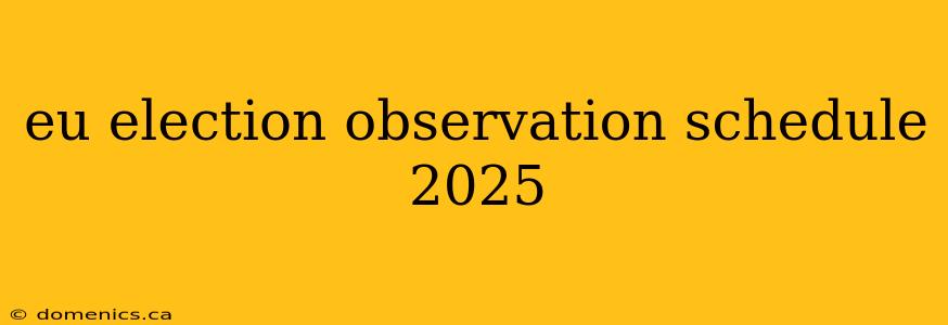 eu election observation schedule 2025