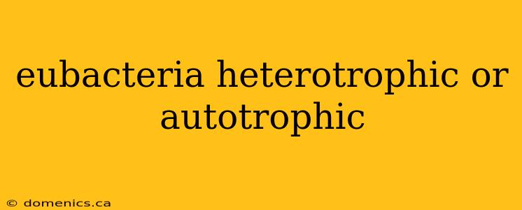 eubacteria heterotrophic or autotrophic