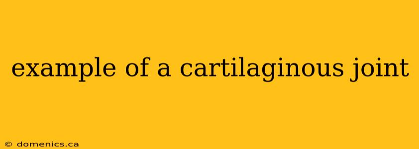 example of a cartilaginous joint