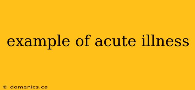 example of acute illness