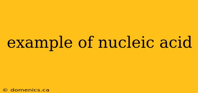 example of nucleic acid