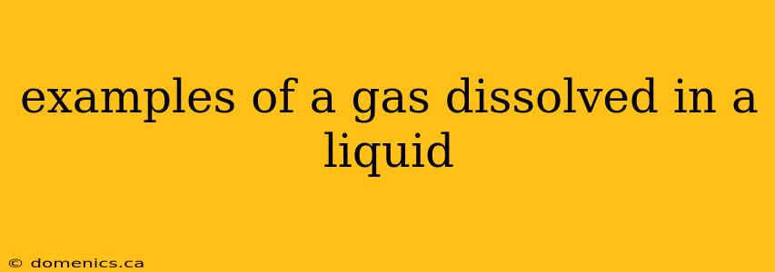 examples of a gas dissolved in a liquid