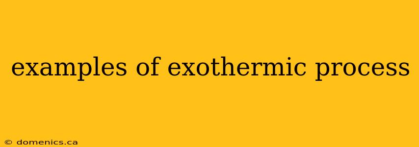 examples of exothermic process