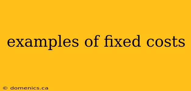 examples of fixed costs