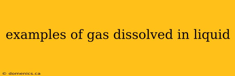 examples of gas dissolved in liquid