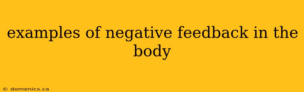 examples of negative feedback in the body