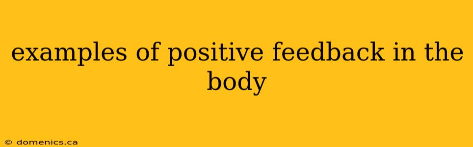 examples of positive feedback in the body