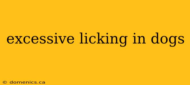 excessive licking in dogs