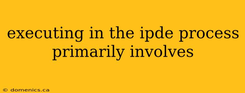 executing in the ipde process primarily involves