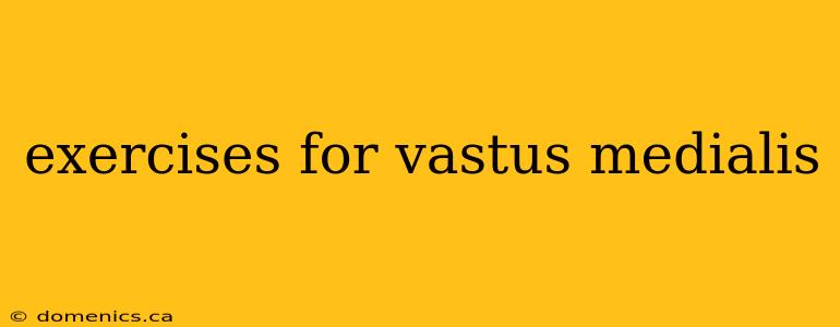 exercises for vastus medialis