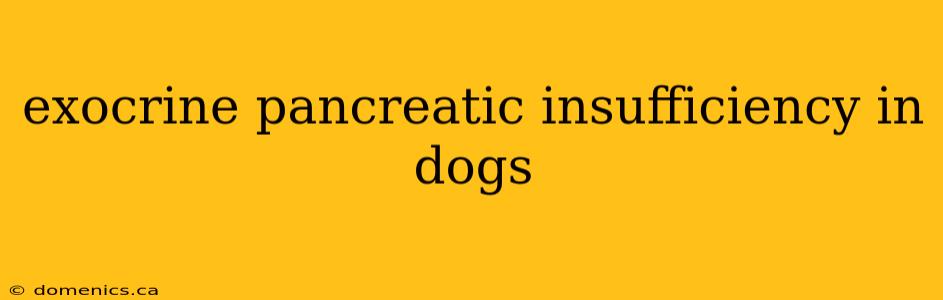 exocrine pancreatic insufficiency in dogs