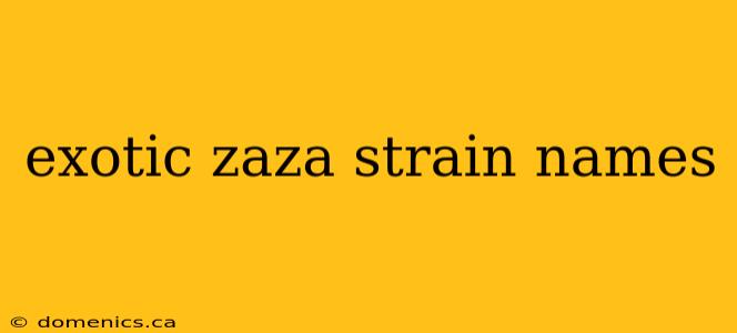 exotic zaza strain names