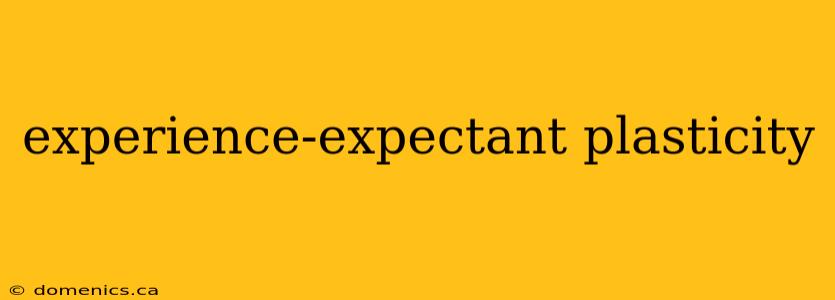 experience-expectant plasticity